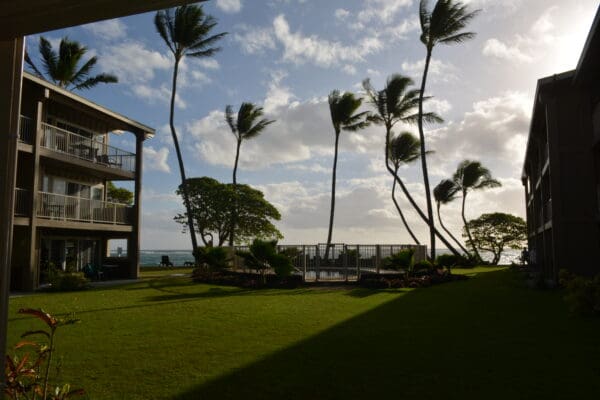 A view of the ocean from an apartment complex.