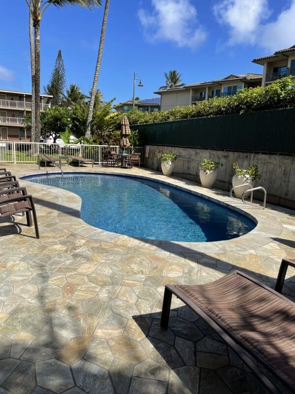 A pool with chairs and palm trees in the background.