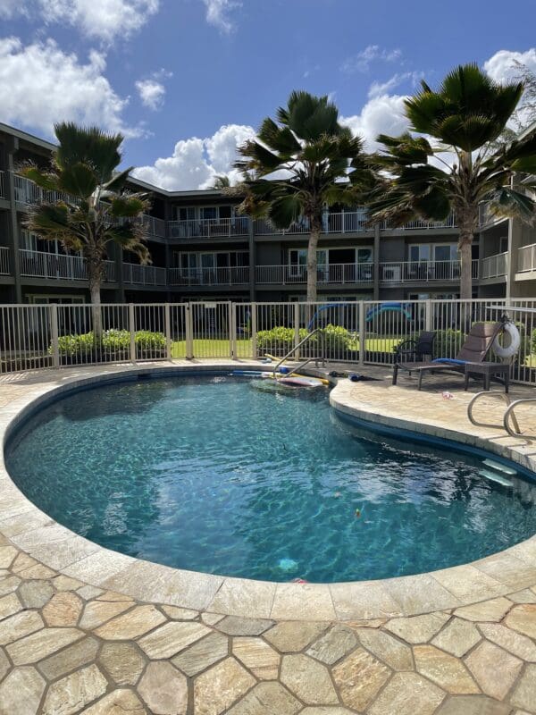 A pool with a view of the ocean and palm trees.