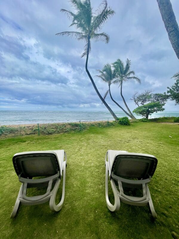 Two lawn chairs in a grassy area with palm trees.