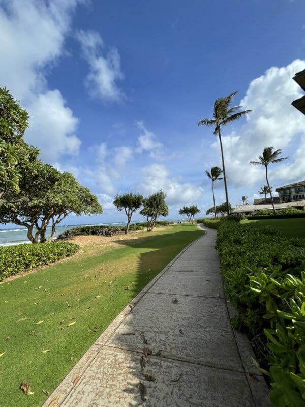 A sidewalk with grass and trees on the side of it.