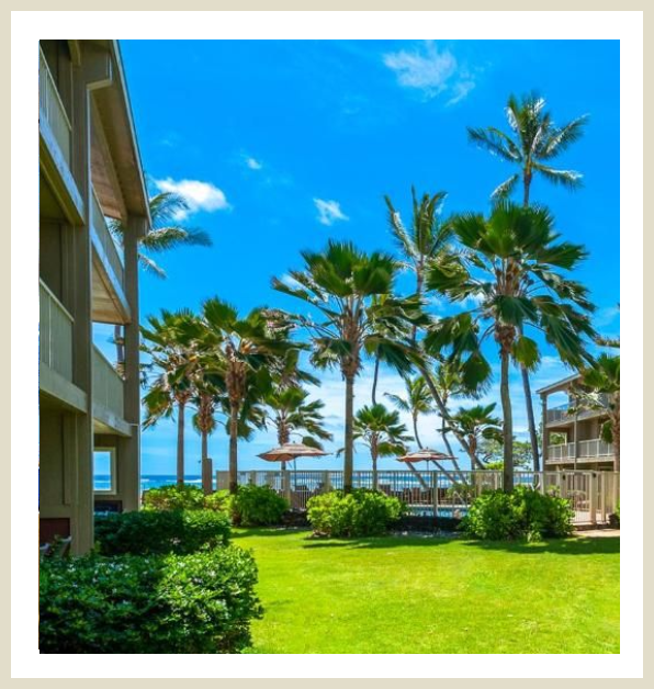 A view of palm trees and buildings from the beach.