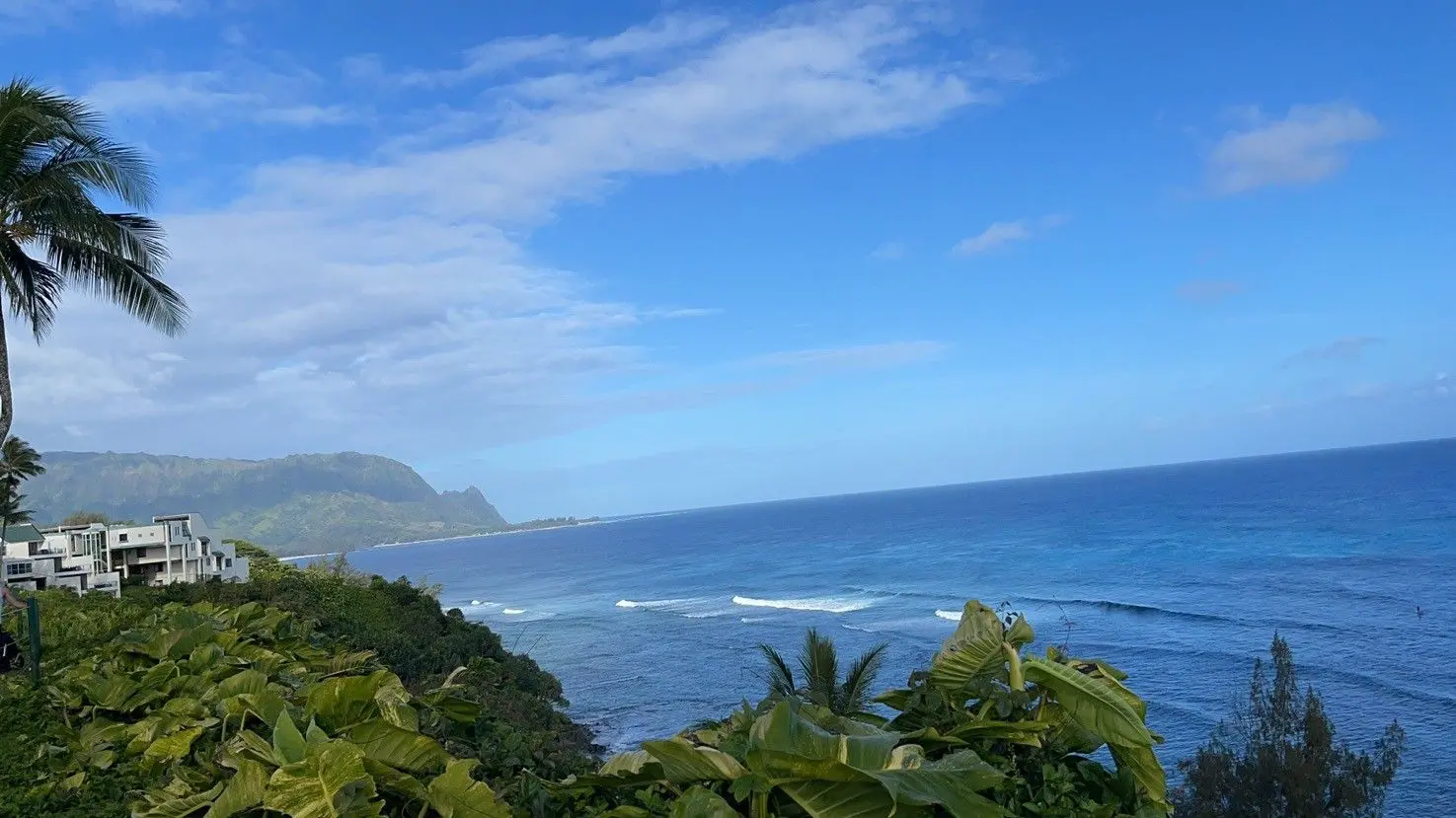 A view of the ocean from above.